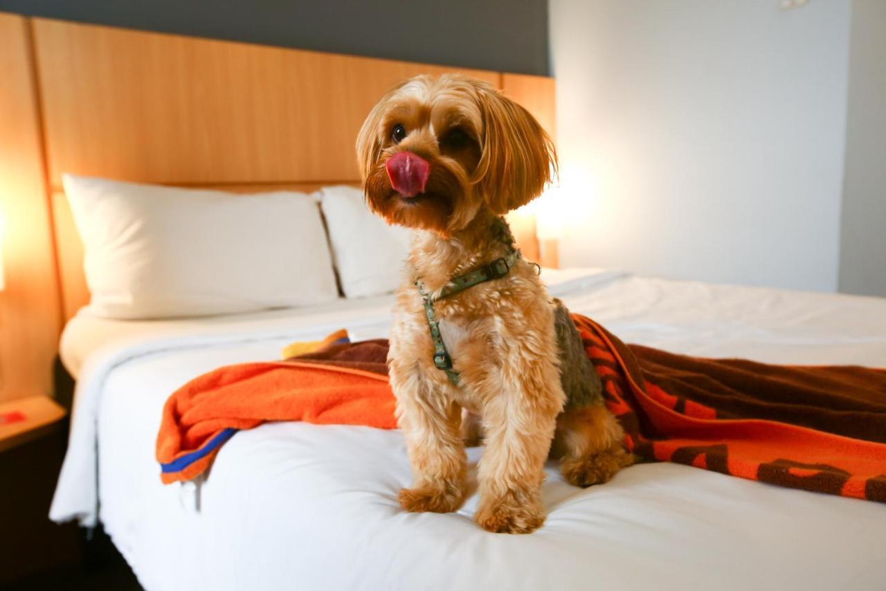 Ibis Budget Nova America Hotel